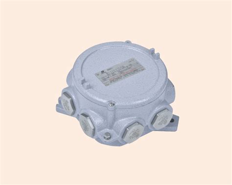 warom hazardous area junction box